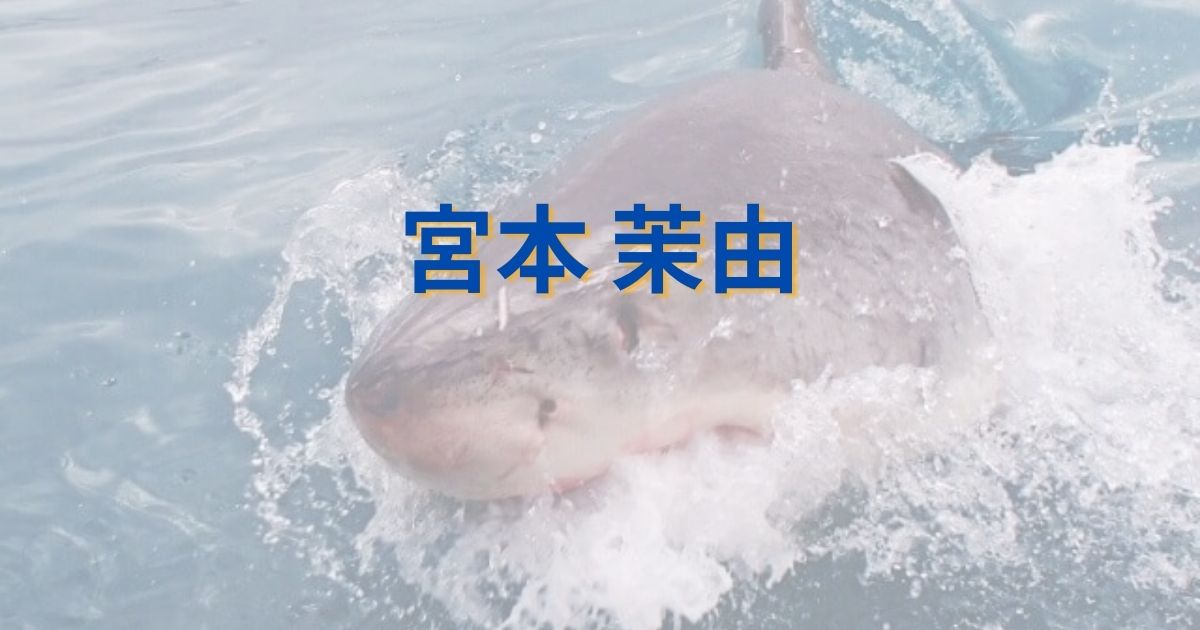 【画像】宮本茉由流､危険生物の倒し方！サメなどの水中生物は特に危険！？